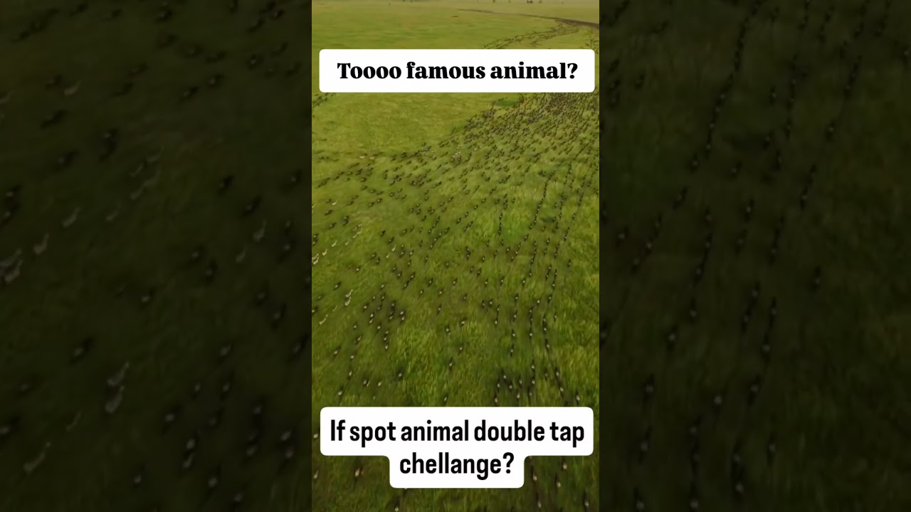 too famous animal if spot Double tap? 