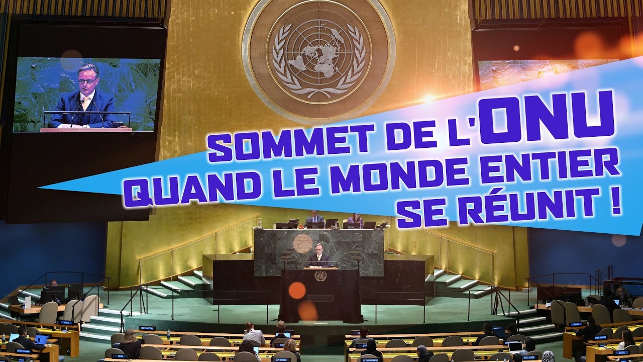 🌍🇺🇳 ONU, Palestine, océans & castors à Bruxelles 🦫 – L’actu expliquée aux enfants !