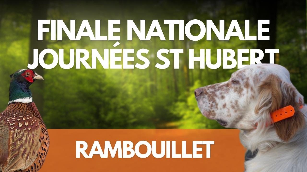 #chien : Finale nationale des Journées Saint-Hubert à Rambouillet