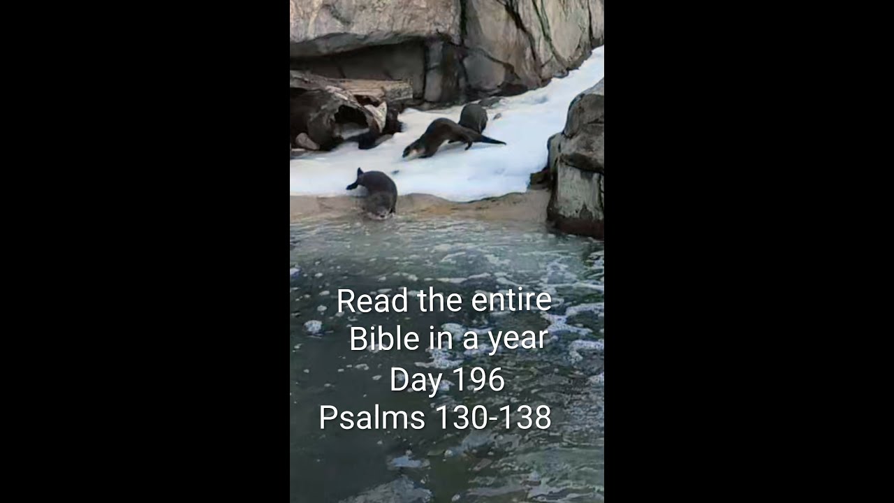 Read the entire Bible in a year Day 196 - Psalms 130-138