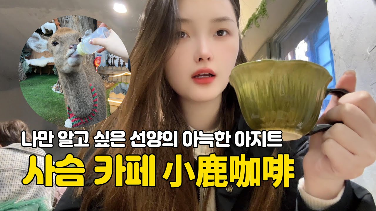 [우리차이나] 나만 알고 싶은 선양의 아늑한 아지트, 사슴 카페 '小鹿咖啡' 🦌☕