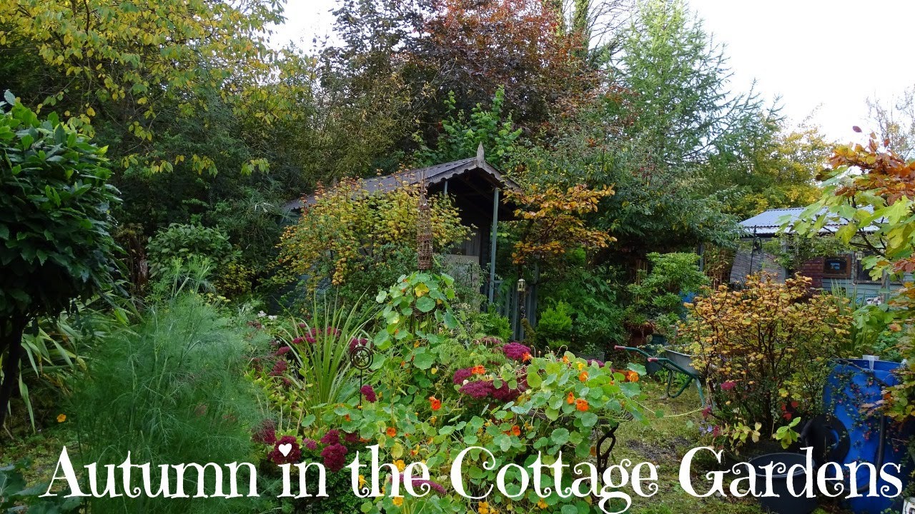 Autumn in the Cottage Gardens