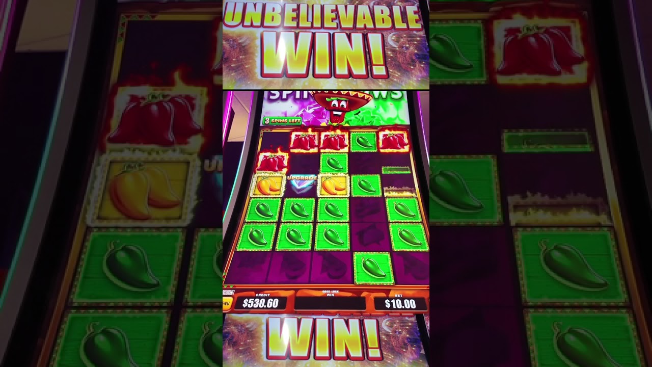 🌶🌶 HUGE WIN ON NEW SPICY FORTUNES SLOT!! @DelawareParkCasino #slot #shorts