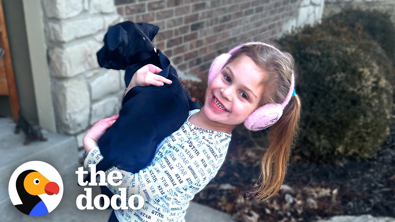 Little Pittie Gets Adopted By A Girl Who Has The Same 