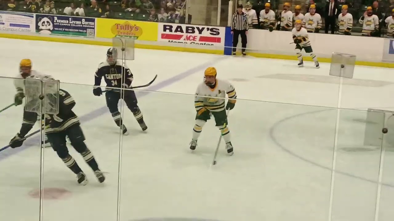 College hockey 