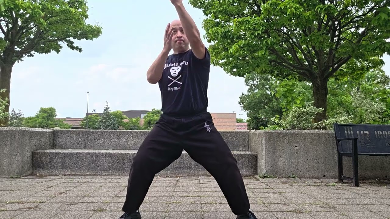 COMBAT SATURDAY - QIGONG BASICS