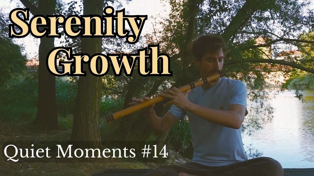 Quiet Moments #14 | Serenity Growth | 30 Min Relaxing Indian Flute Music