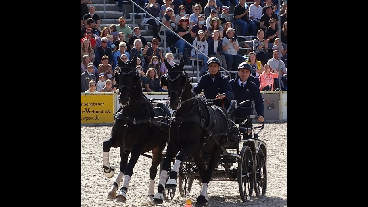 HuL Gestüt Marbach Hengstparade 2021 am 02.10.2021 - 07. Jump and Drive