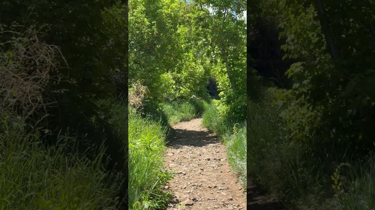 Sometimes life takes you on unexpected paths. #travel #traveling #explore #mountains #hike #foryou