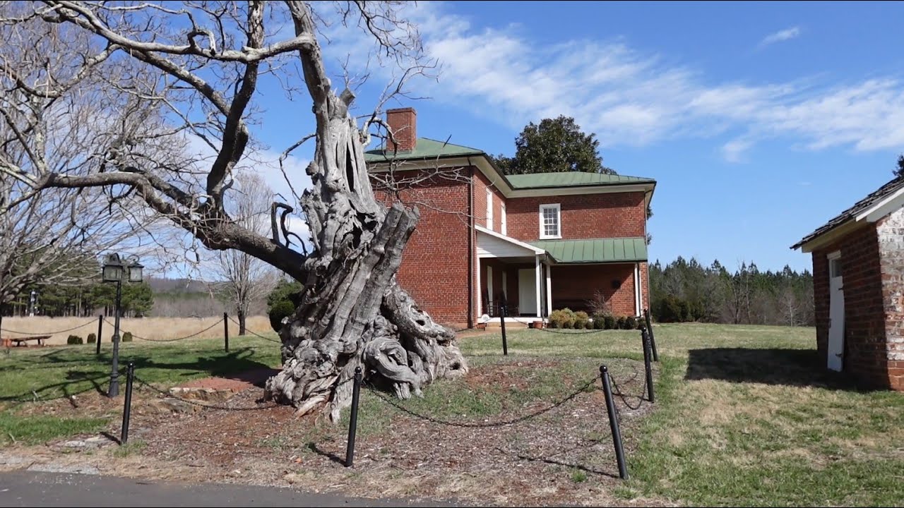 RJ Reynolds Family Home & An Unusual Tree