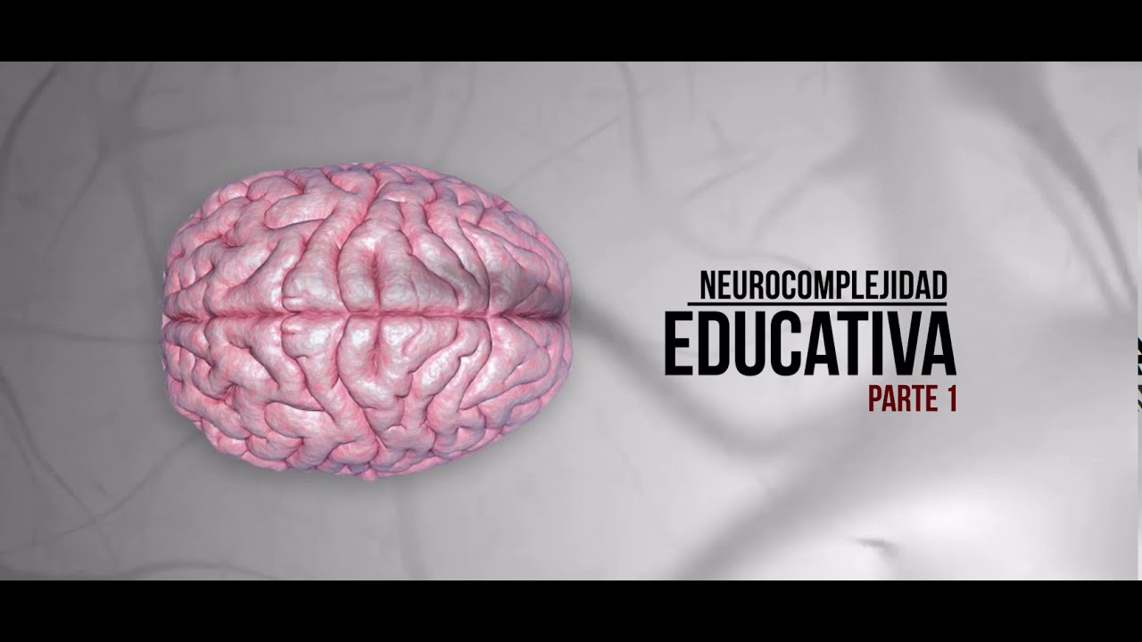 NEUROCOMPLEJIDAD EDUCATIVA PARTE 1