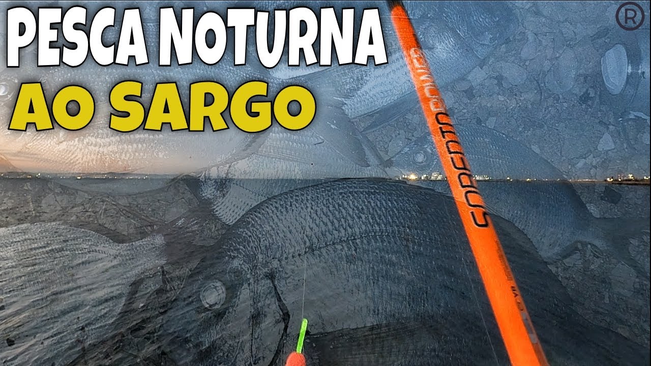 PESCA NOTURNA AO SARGO COM BOIA DE CORRER/ SEA BREAM FLOAT FISHING AT NIGHT / 鲷鱼钓鱼/صيد سمك الدنيس