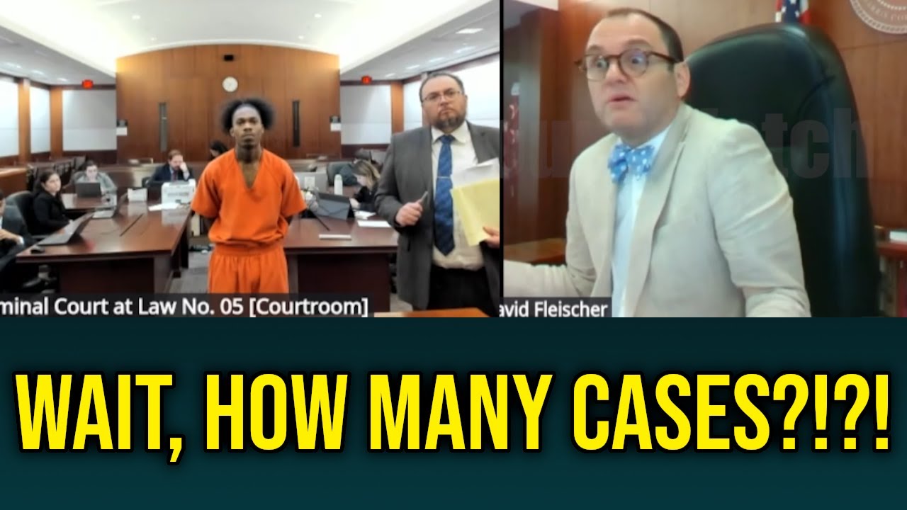 Dude's ABSURD Criminal History Leaves Judge Fleischer STUNNED