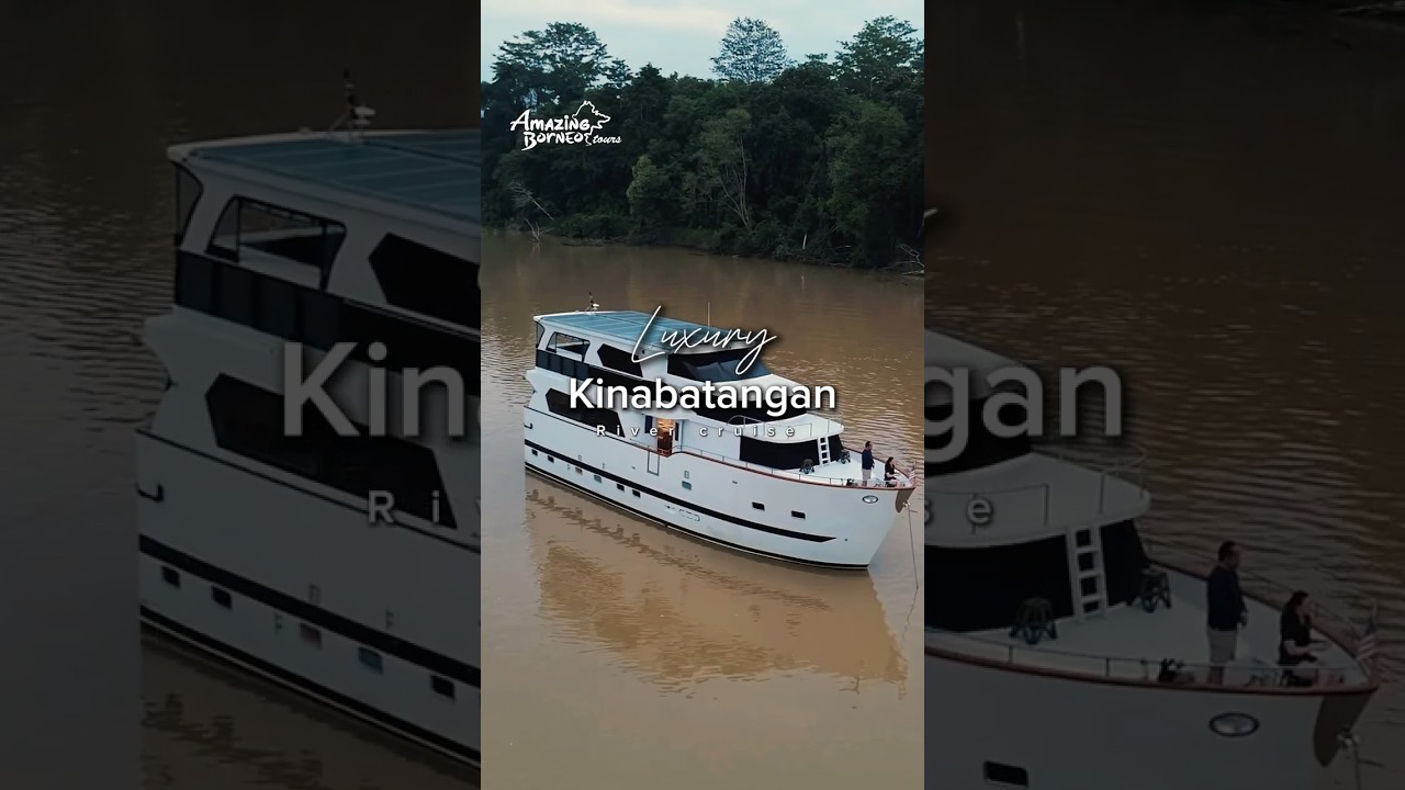 The First & Only Wildlife Liveaboard in Malaysia! ✨ 3D2N Luxury Kinabatangan River Cruise