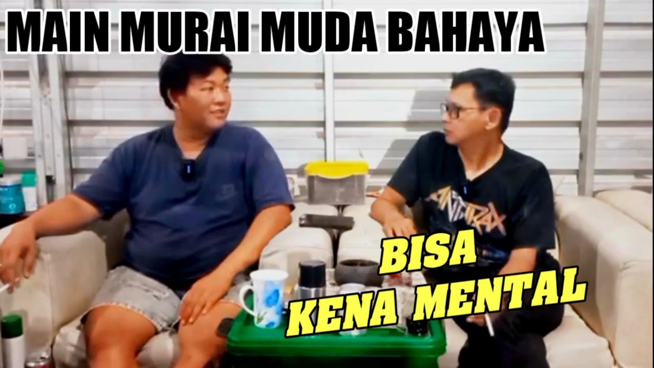 RAWATAN SETINGAN HARIAN MURAI BATU MUDA JUARA LOMBA KEN MURAI MANIA