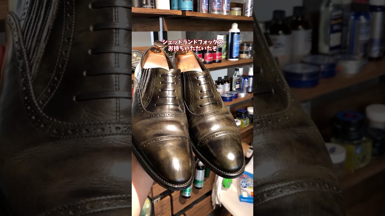 Shetland Fox #shoe shine