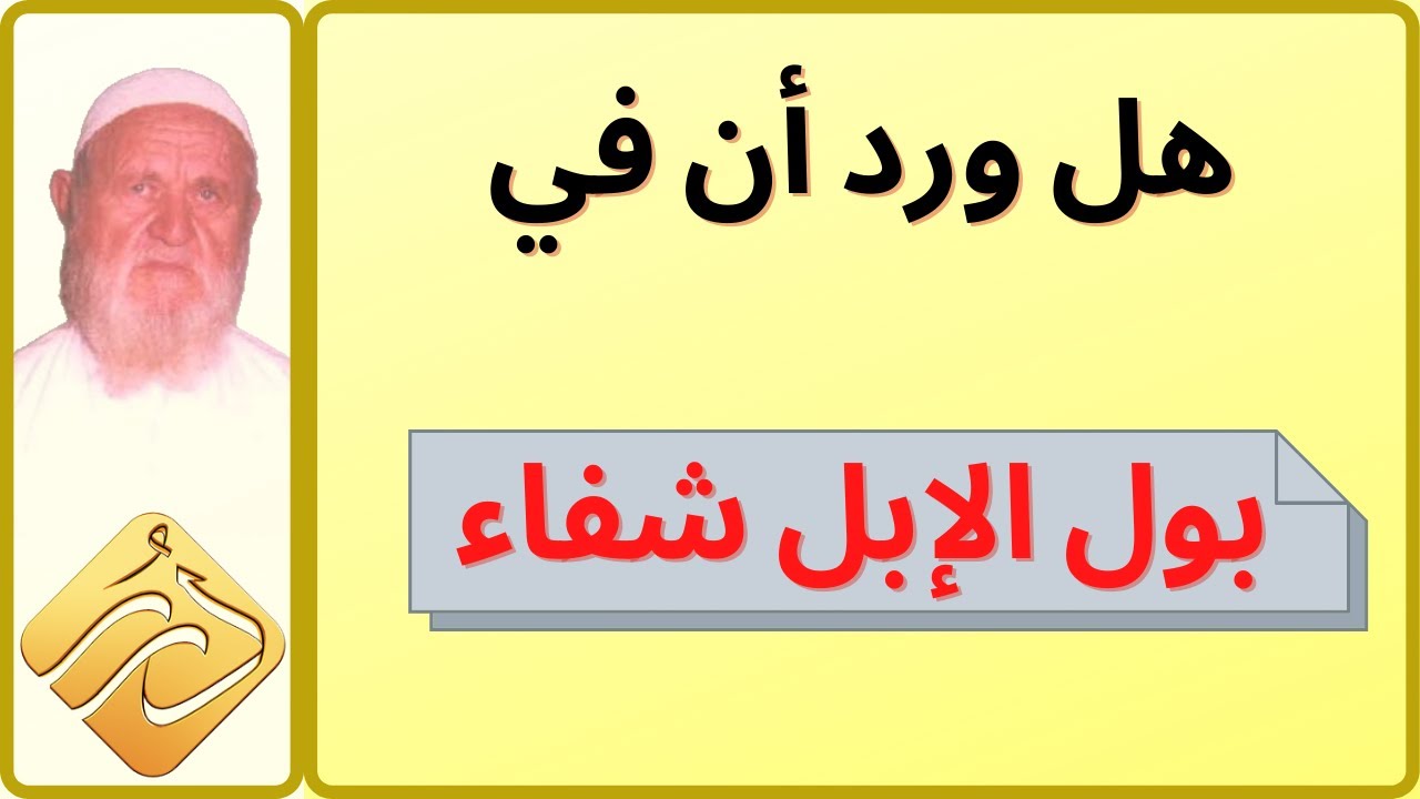 الشيخ الألباني هل ورد أن في بول الإبل شفاء