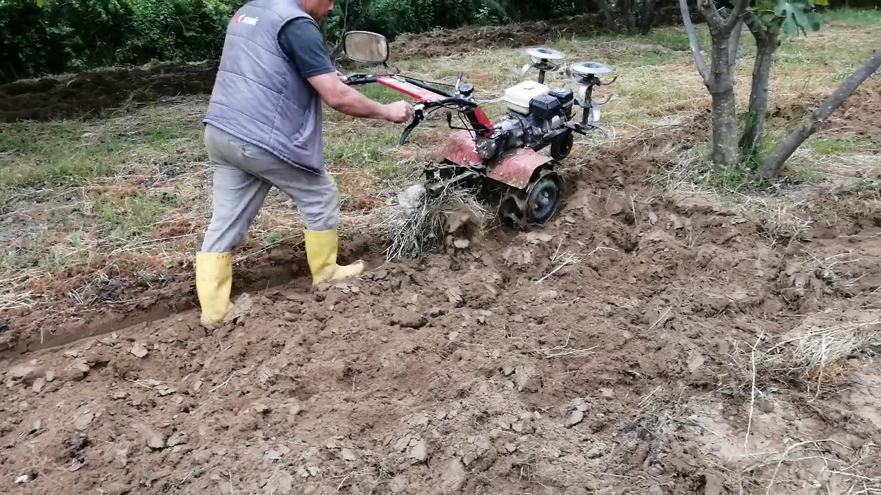 Honda antrac ile pulluk çekme
