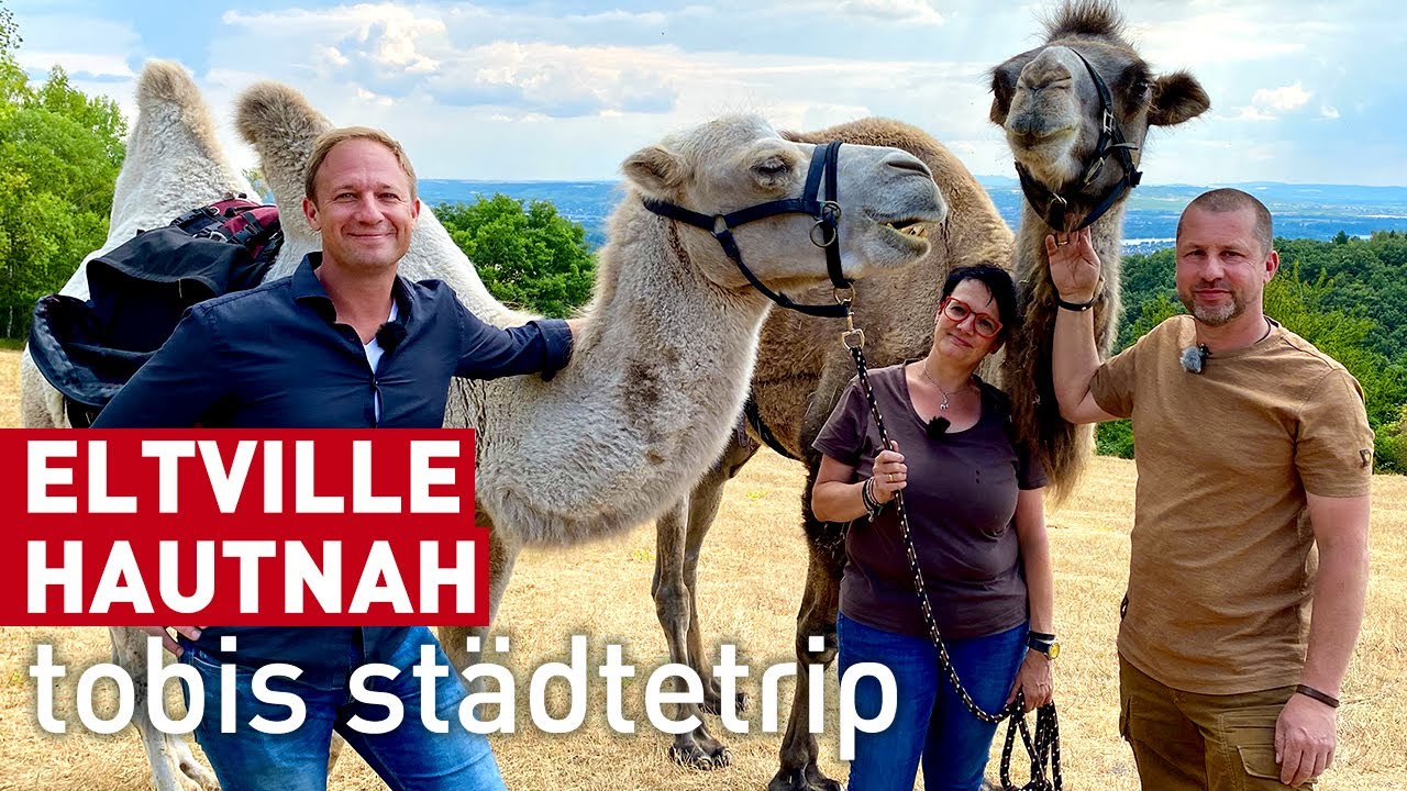 Eltville hautnah! | Reisen | Tobis Städtetrip