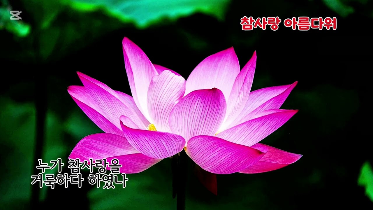 ■장성현가곡교실 [3022] 참사랑 아름다워 ♡선우호 시/이영자 작곡 