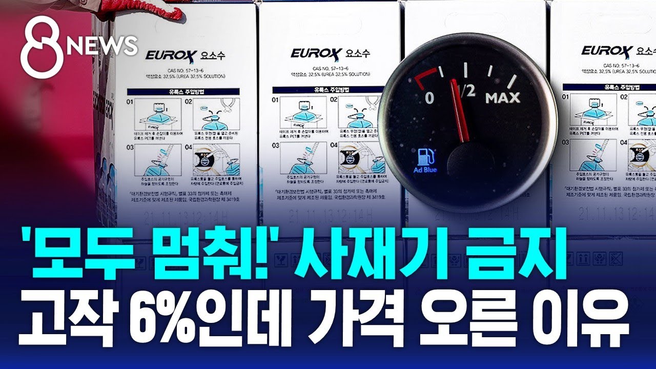 '모두 멈춰!' 사재기 금지&hellip;고작 6%인데 가격 오른 이유 / SBS 8뉴스