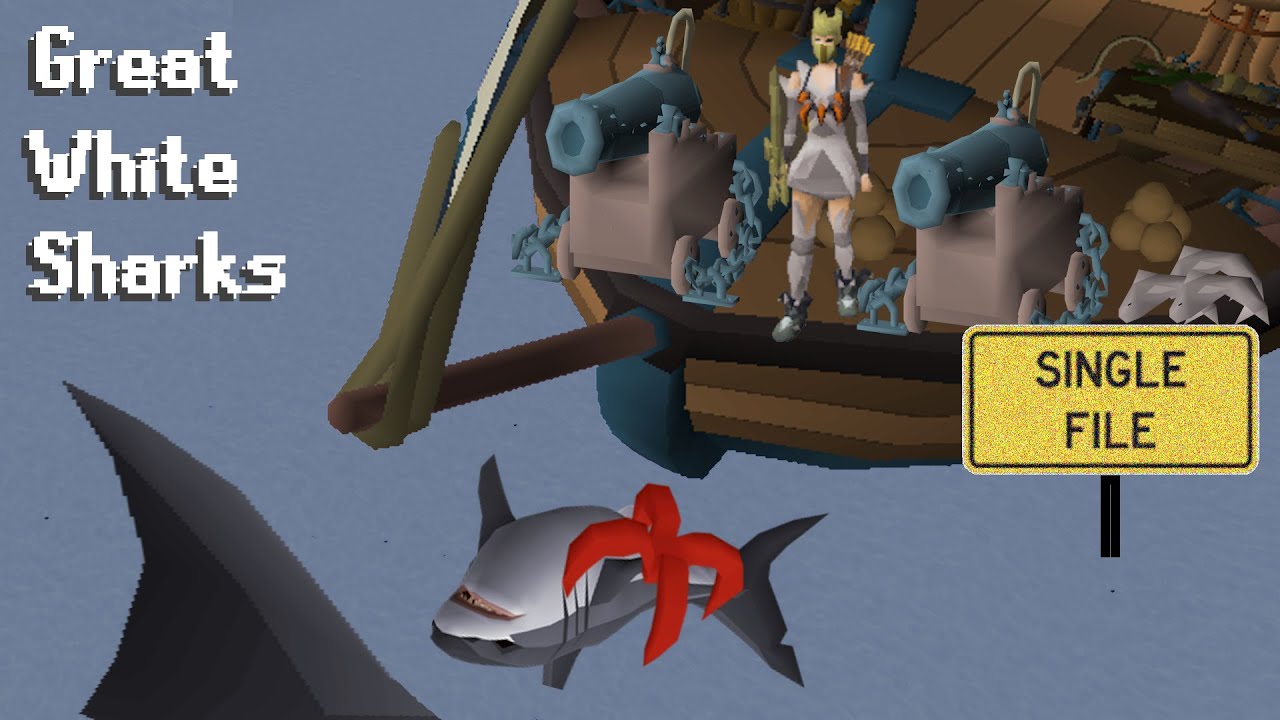 Руководство по парусному бою с участием больших белых акул (OSRS)