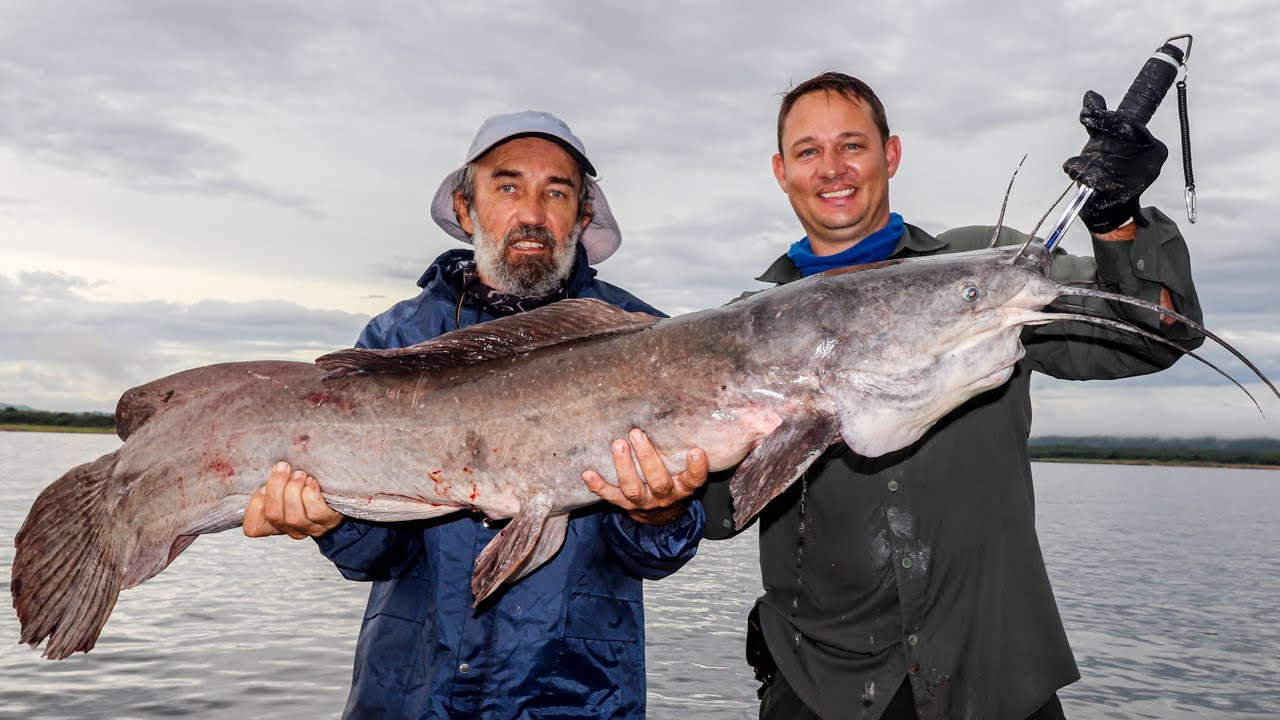 Catching a Giant Vundu in Cahora Bassa, Mozambique!!!