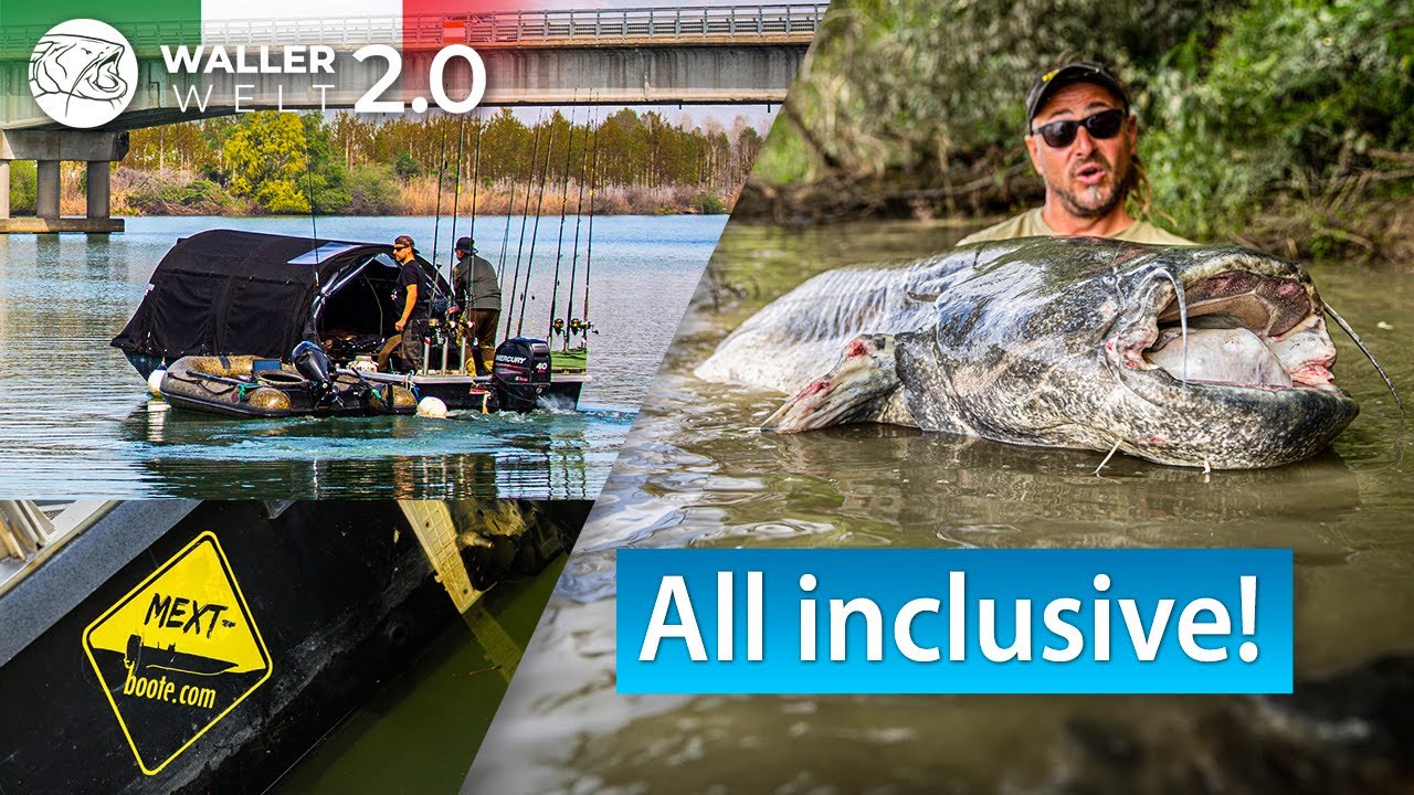 Wallerangeln am Po - Das "all inclusive rundum sorglos Paket" im Wels Camp Po Oberlauf 
