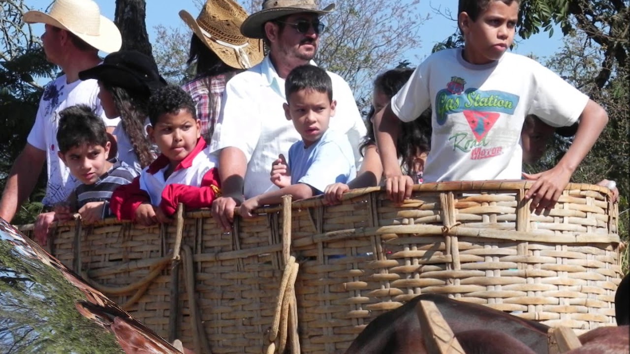 Festa do Carro de Boi