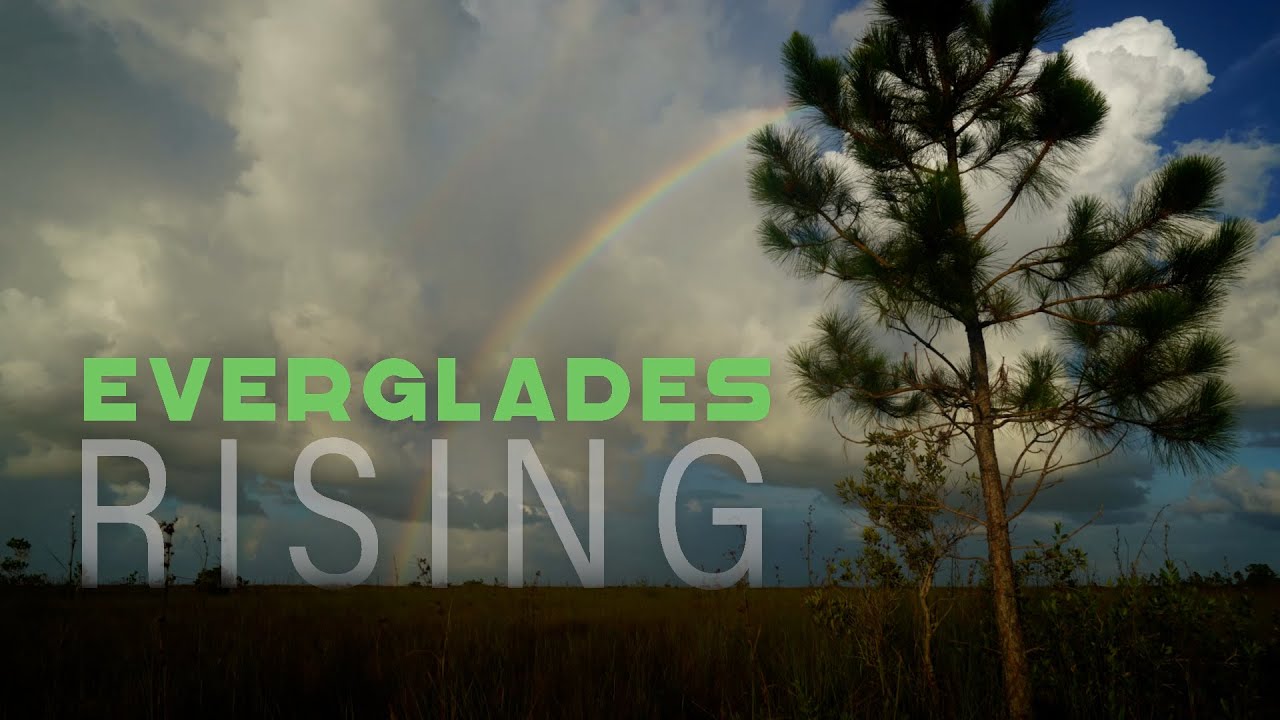 EVERGLADES RISING FULL DOCUMENTARY