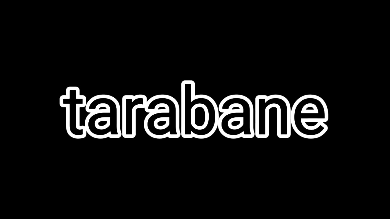 tarabană kuchek 2022 de dans (like si subscribe 🙏🙏)