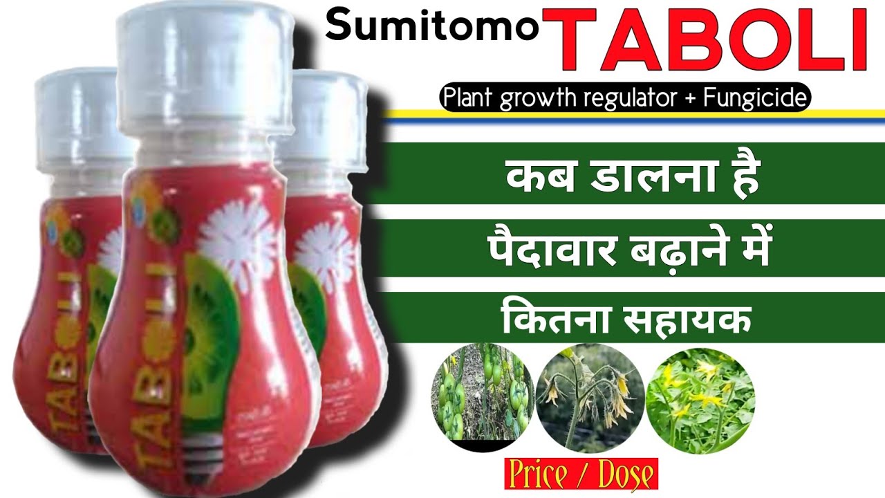 Taboli | Sumitomo Taboli | Taboli Plant growth regulator | taboli pgr | sumitomotaboli