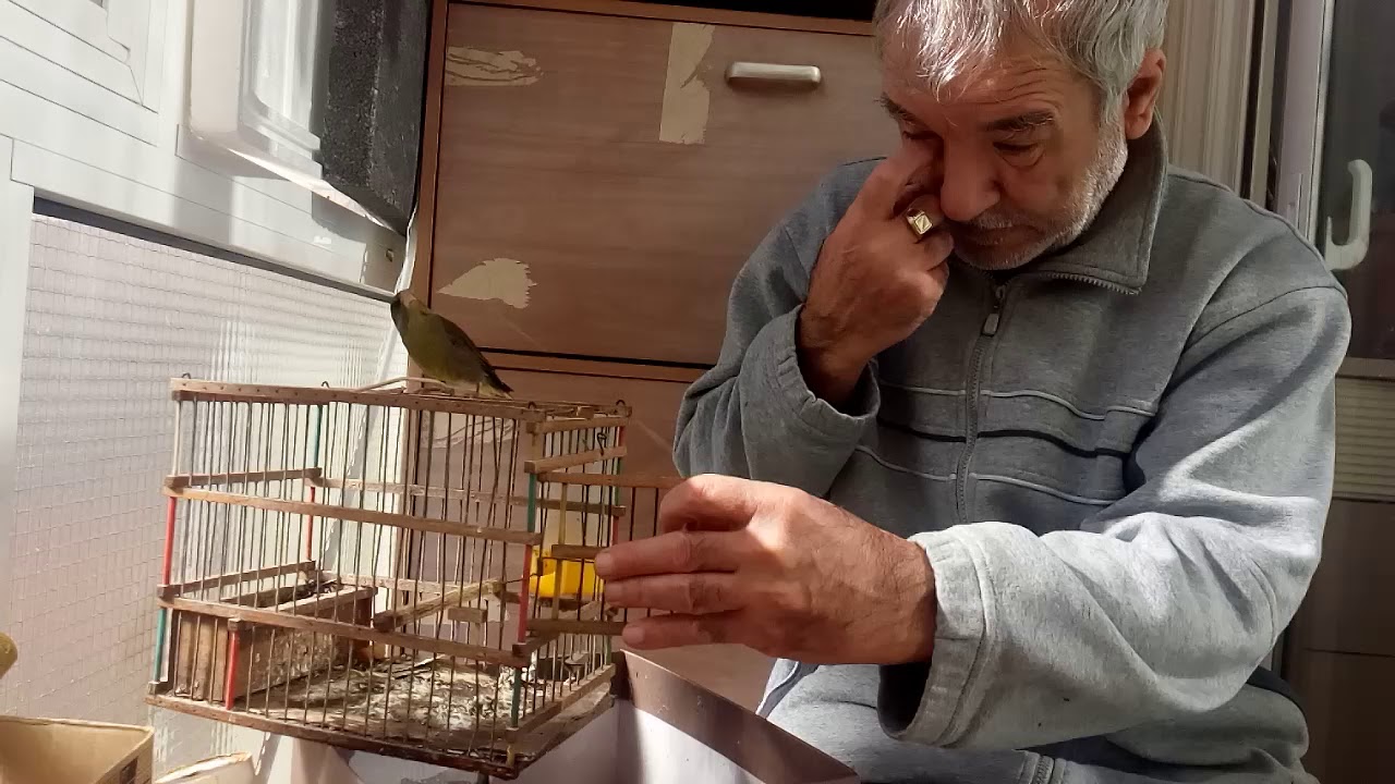 Φλώρος καλός