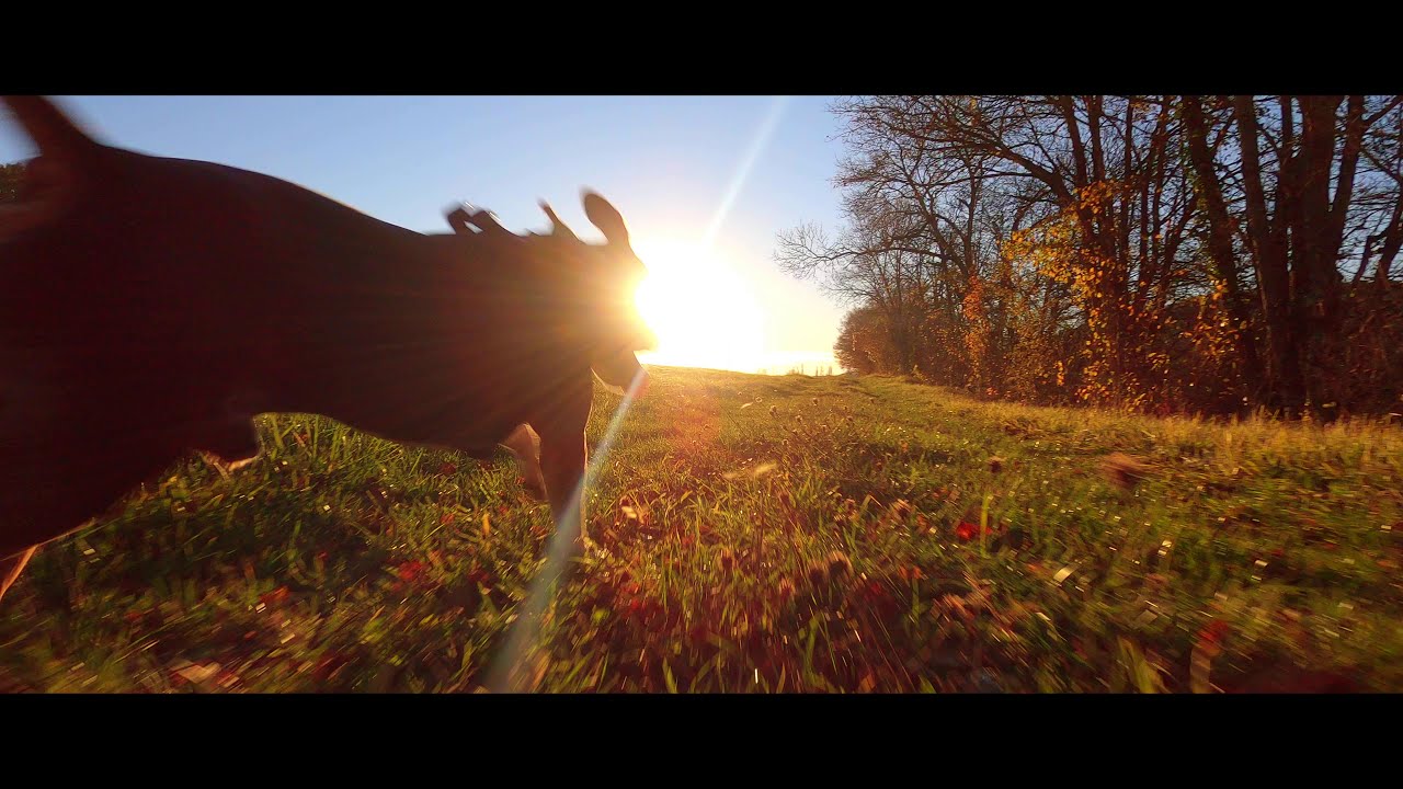 Un Automne Dans La Campagne De Castelnau-Montratier en 4K (gopro hero8)