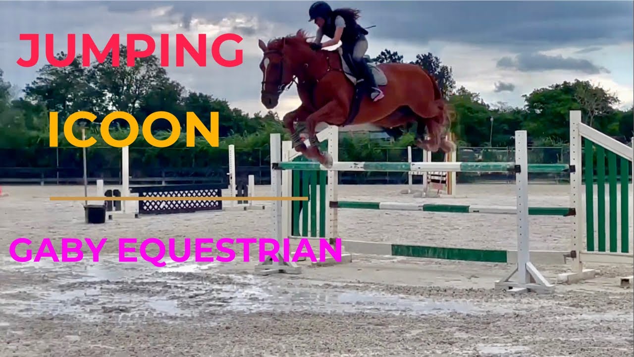 Jumping a Belgian Warmblood Horse a Meter Forty | Horse Jumping