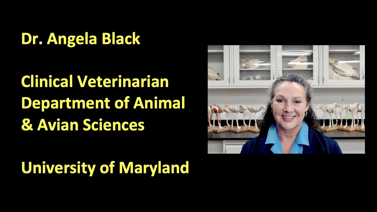 Angela Black - University of Maryland's Department of Animal and Avian Sciences