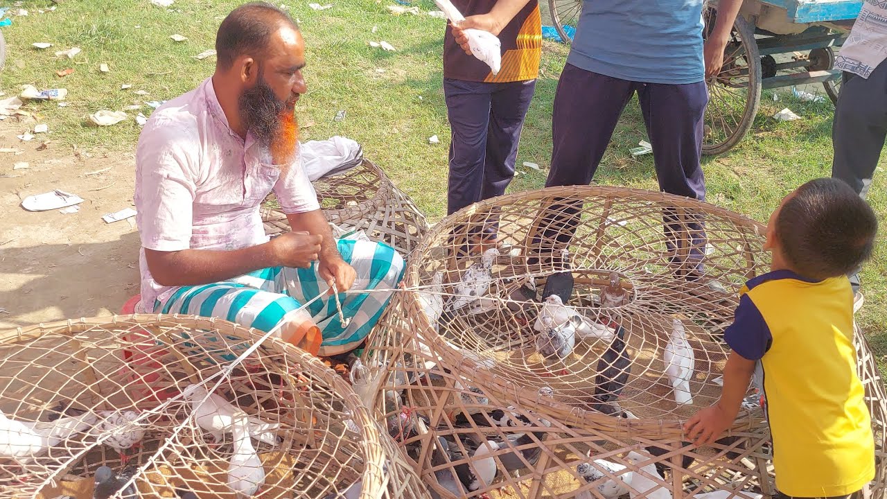 রাজশাহীর বিখ্যাত কাটাখালী কবুতরের হাট ভিডিও, রোজ শুক্রবার। #viralvideo #viral #kabootar #pigeon 