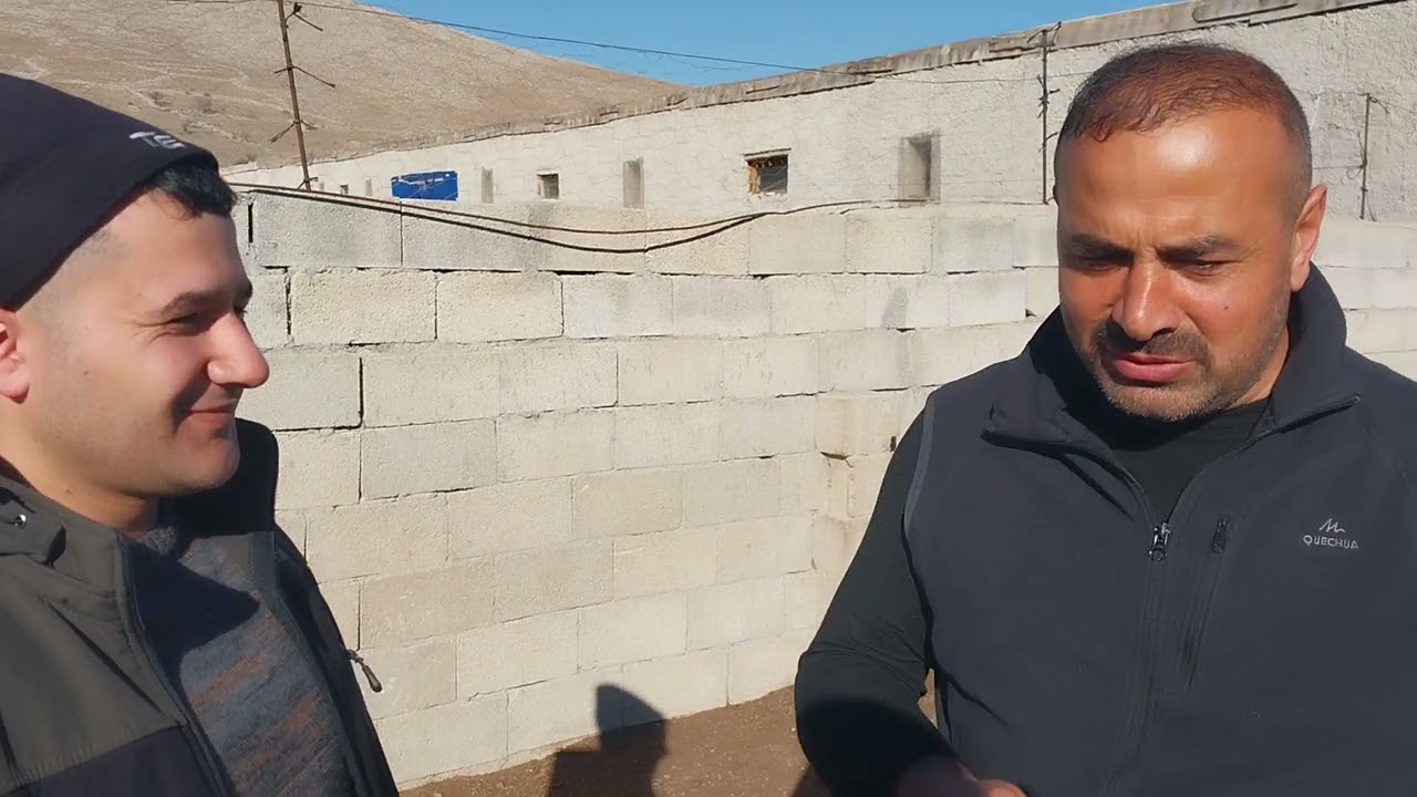 Neden Halep Keçisi- Koyun mu Keçi mi -20 Soruda Neden Keçi