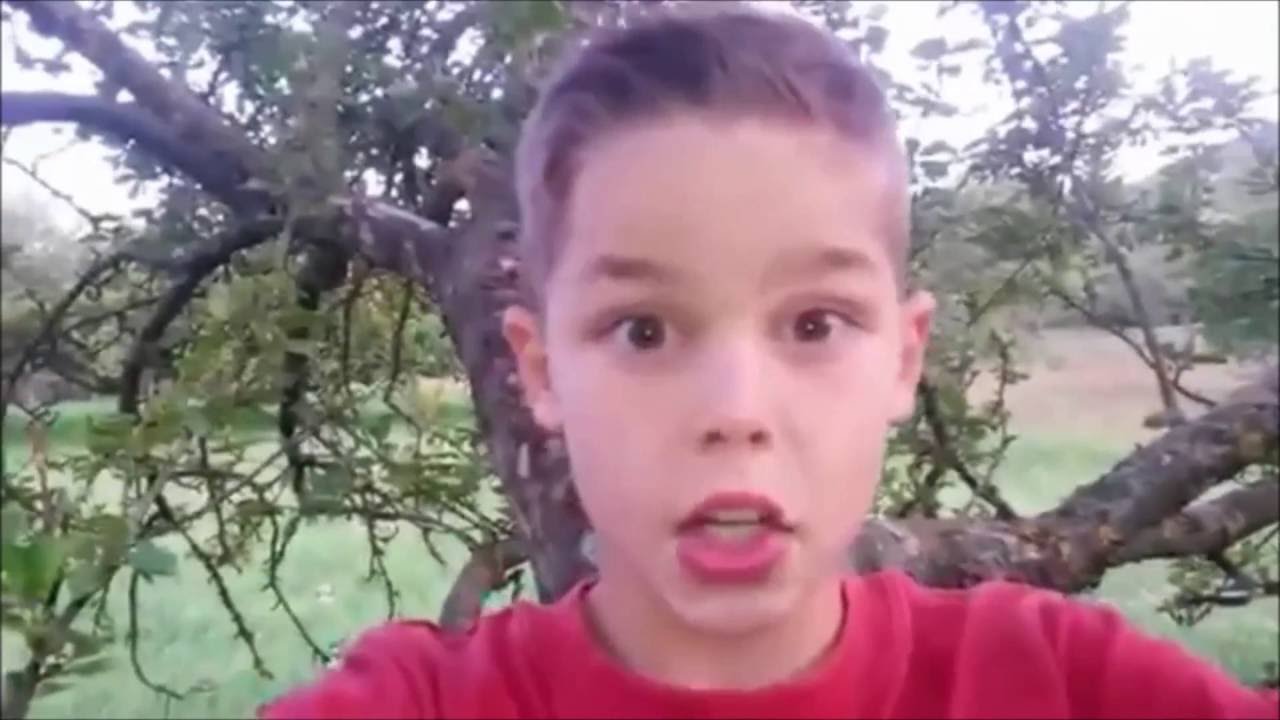 KEZDŐ VIDE&Oacute;SOK (mont&aacute;zs) #2