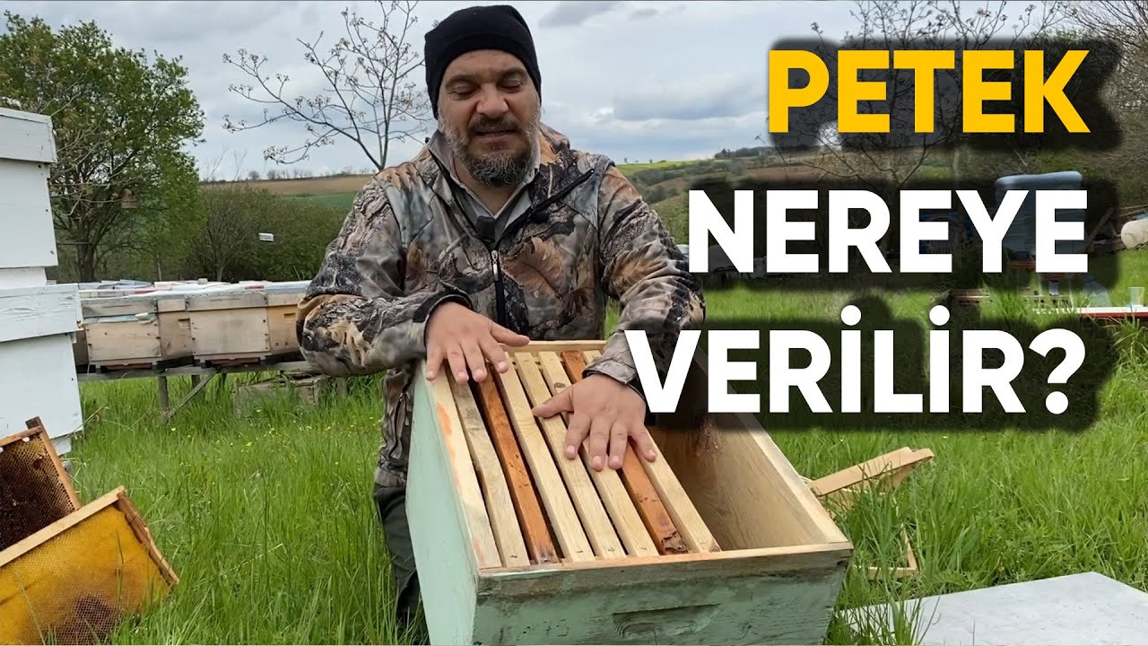 Petek Nereye Verilir?