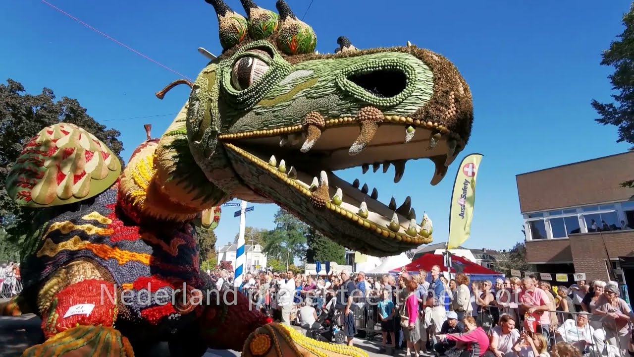 Unesco schrijft twee Nederlandse tradities in op Immateri&euml;le Erfgoedlijst