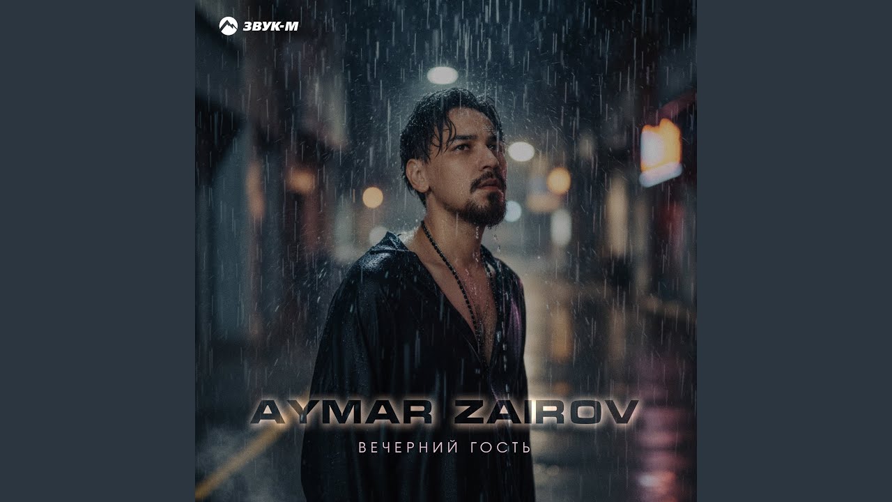 Вечерний гость