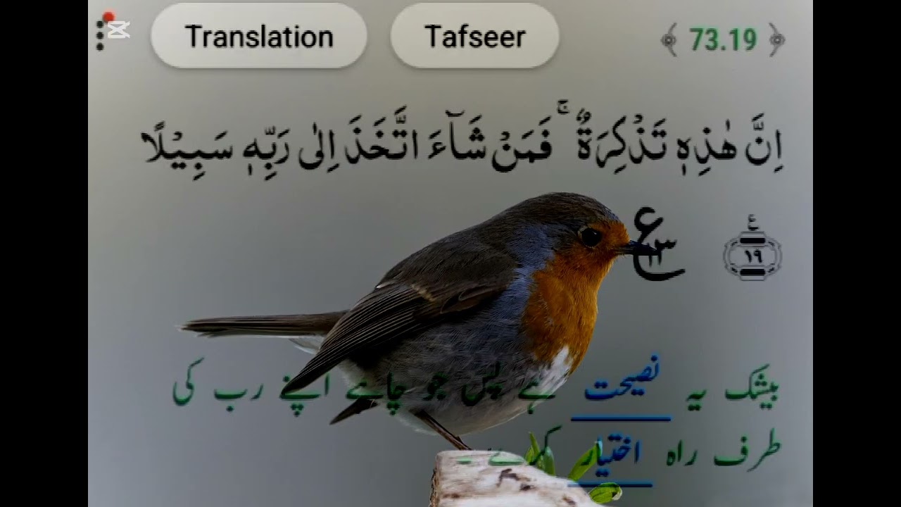 Surah Muzammil Full II By Quri Bilal as sheikh With Arabic Text (HD)