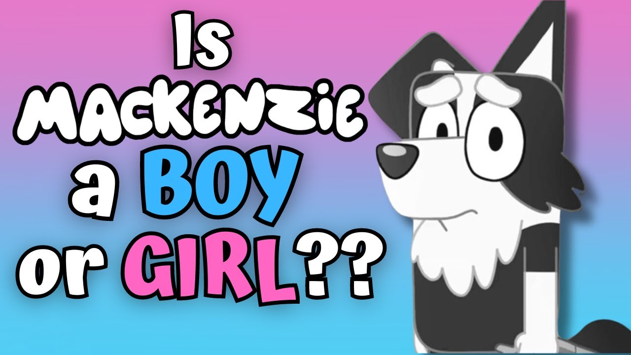 Is Mackenzie a BOY or GIRL in Bluey????