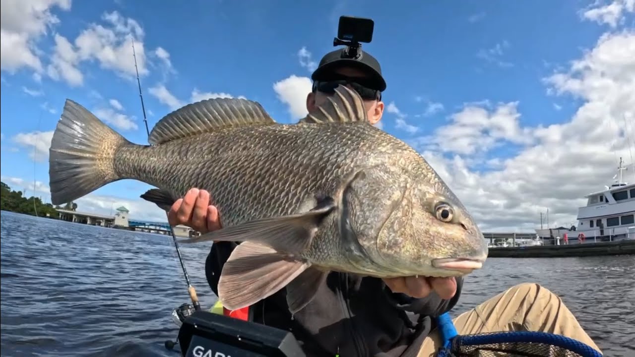 Kayak Fishing for Black Drum and Sheepshead during the Winter (Southeast Florida)