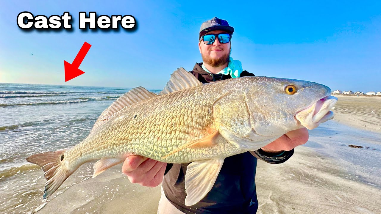 Winter SURF FISHING for SLOT REDFISH! (Catch, Clean, Cook)