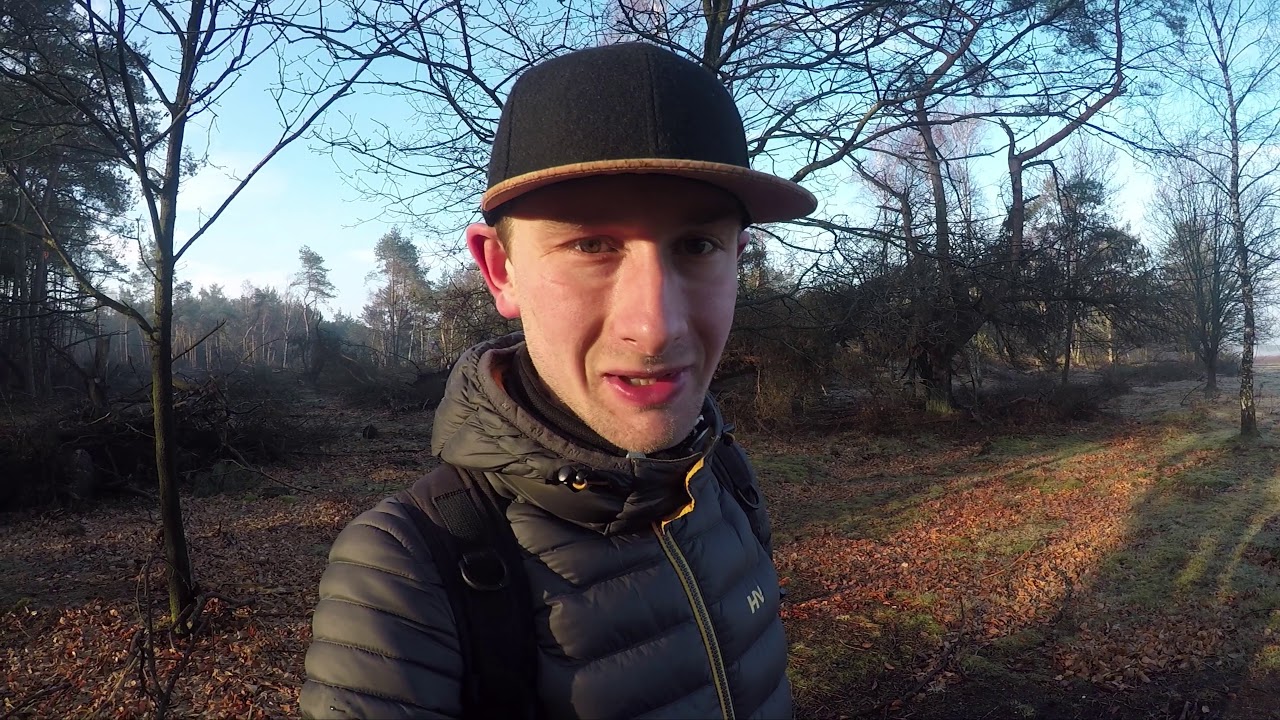 #38: Wild kijken op de Zuid-west Veluwe!