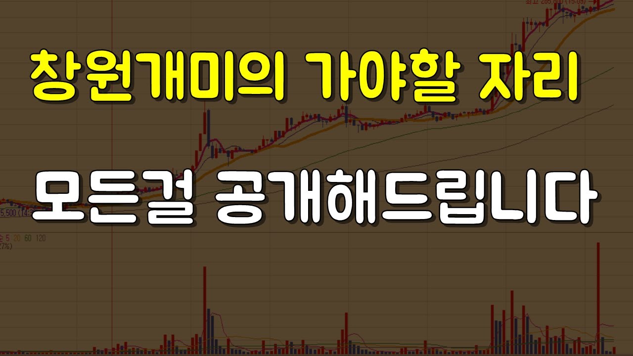 창원개미의 가야할 자리 모든걸 공개