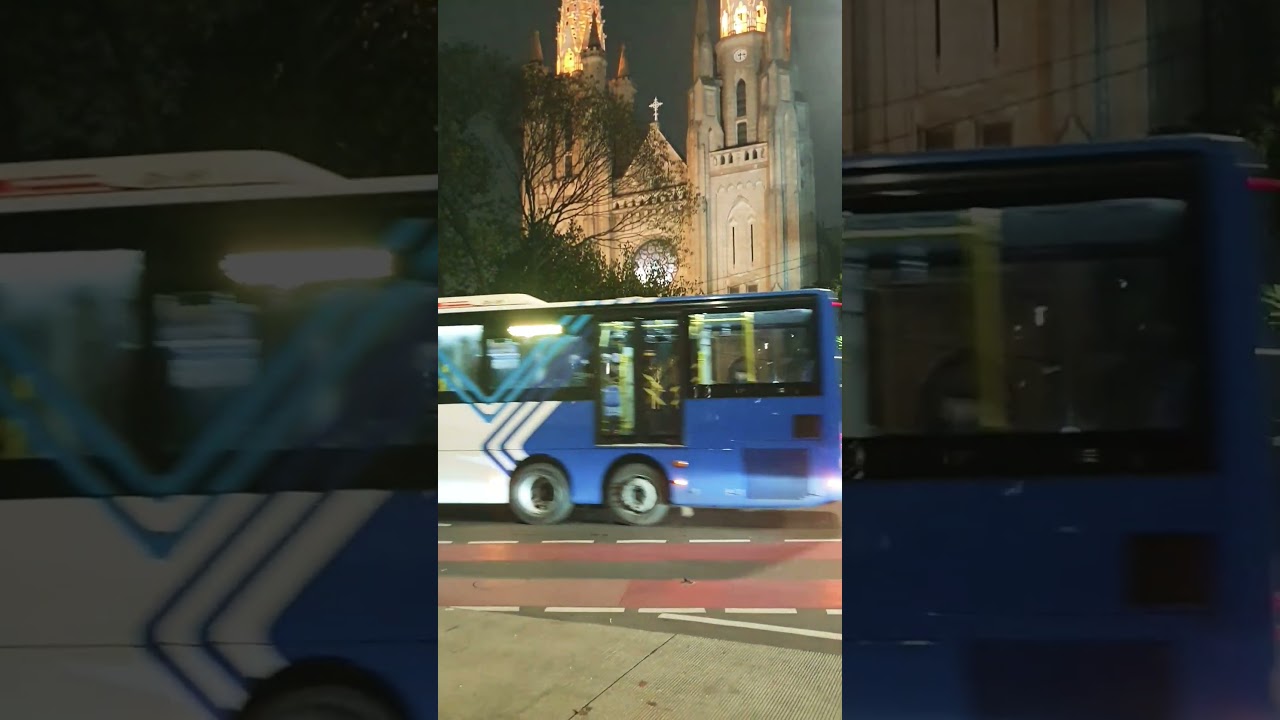 Katedral Santa Perawan Maria Diangkat ke Surga #jakarta #tiktok #viralvideo #katedraljakarta