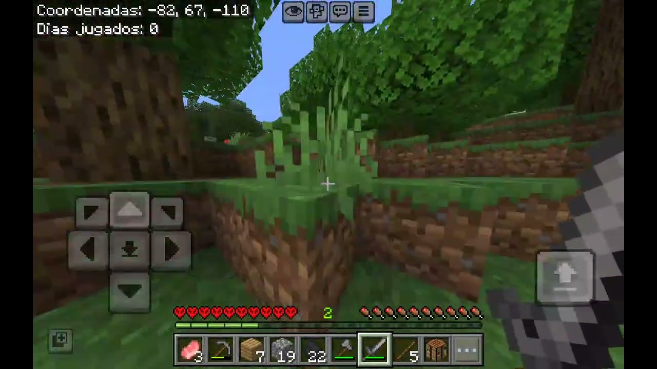 Sobreviví 1 día en Minecraft  HARCORE